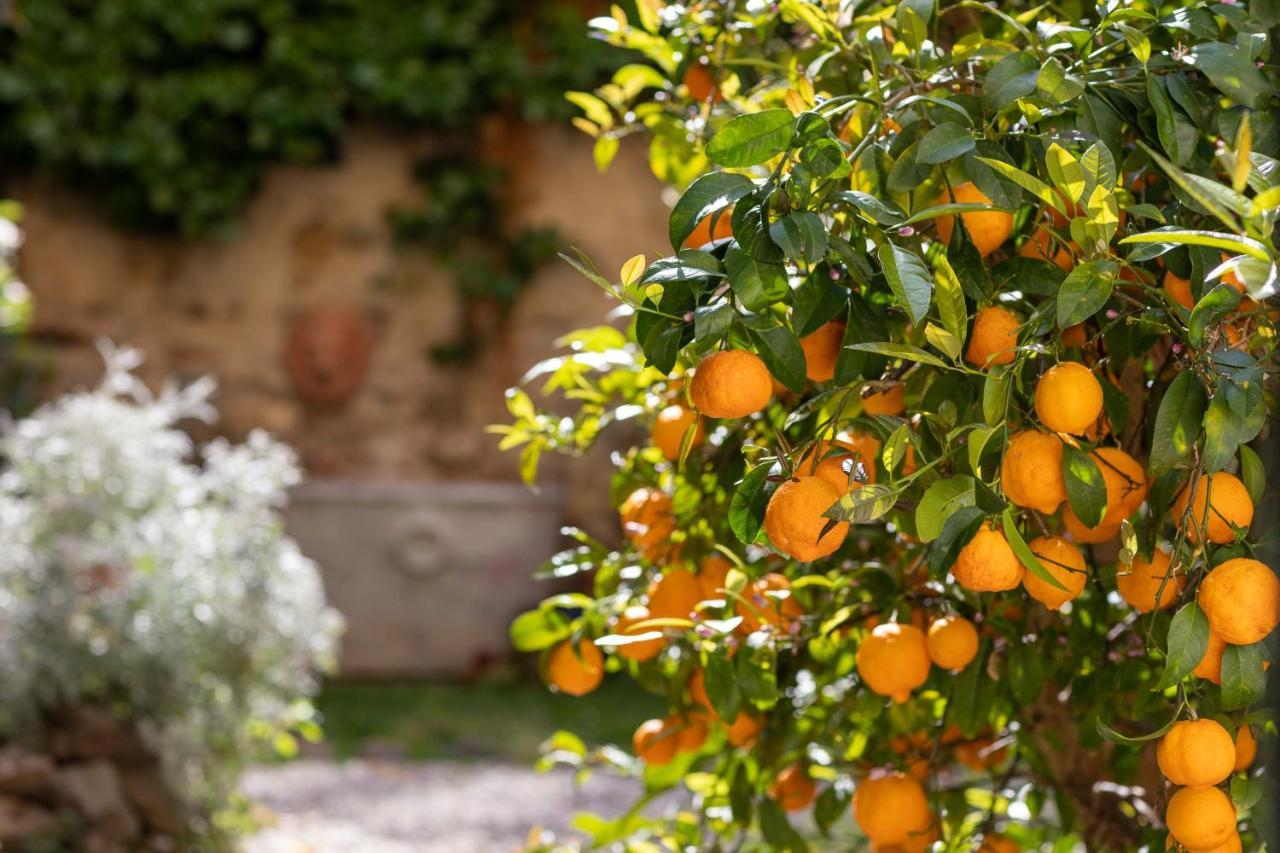 Secret Garden Firenze B&B מראה חיצוני תמונה